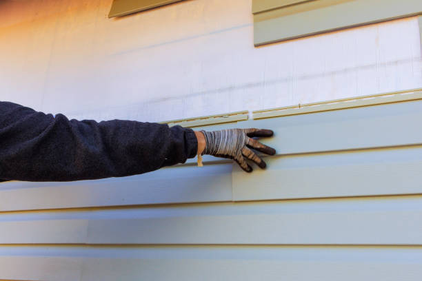 Affordable Siding Repair and Maintenance Services in Hudson, WI